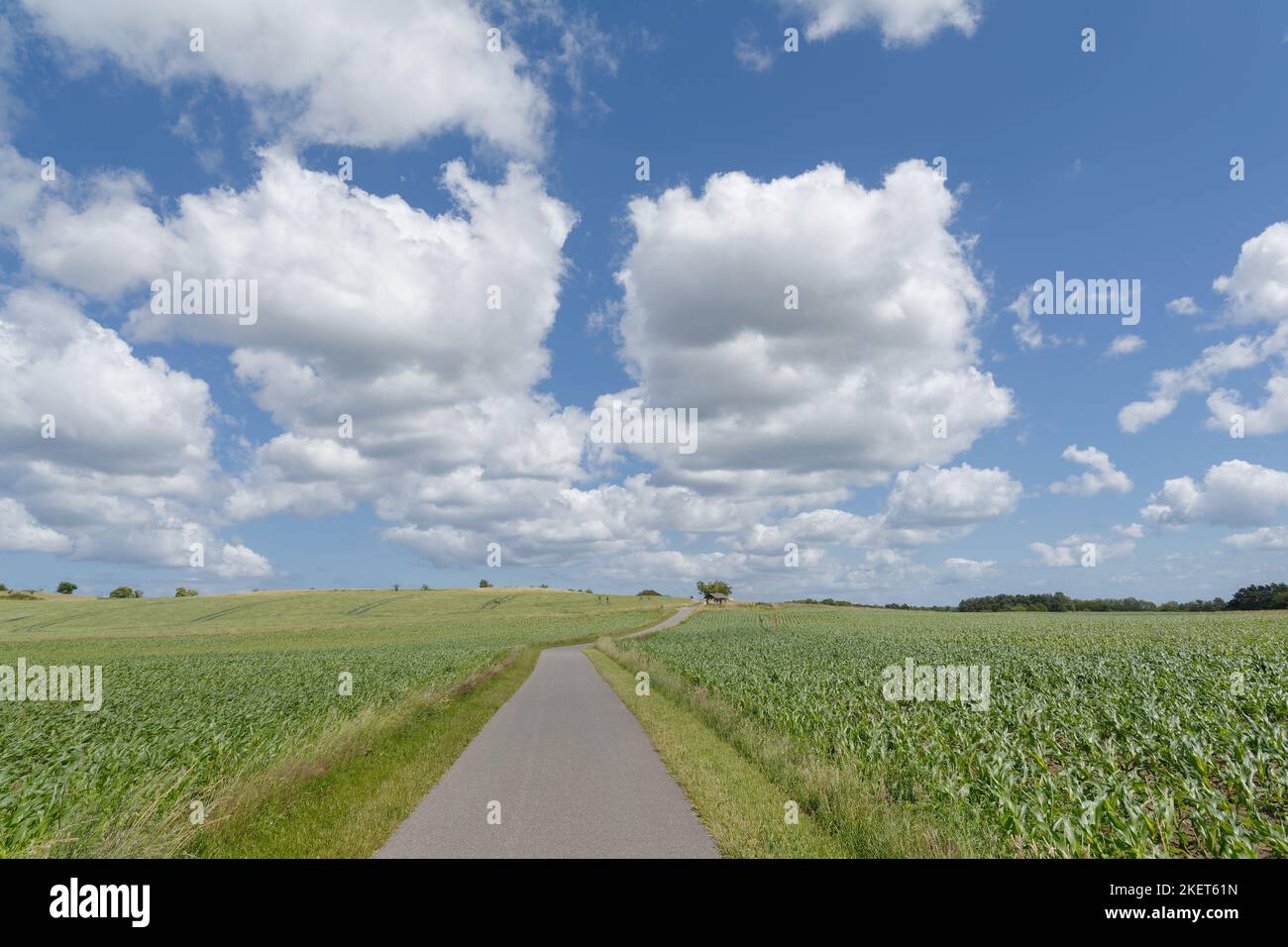 agricultural Farmland on Ruegen,baltic Sea,Mecklenburg Vorpommern