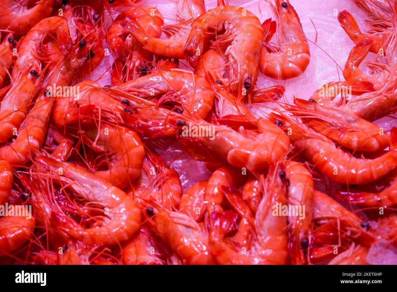 Fresh shrimps, covered Market, Metz, Moselle, Lorraine, Grand Est region, France Stock Photo