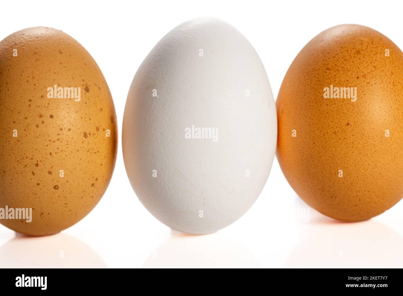 A close up of a white egg inbetween two brown eggs Stock Photo - Alamy