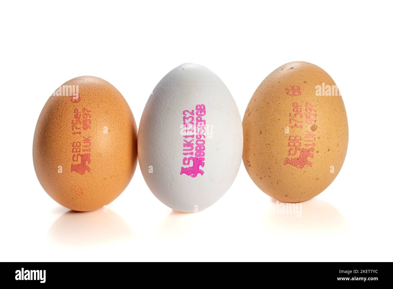 British lion mark eggs Cut Out Stock Images & Pictures Alamy