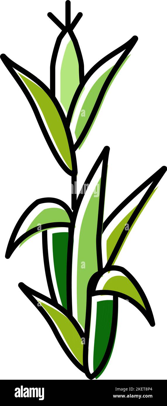 corn plant green color icon vector illustration Stock Vector Image ...