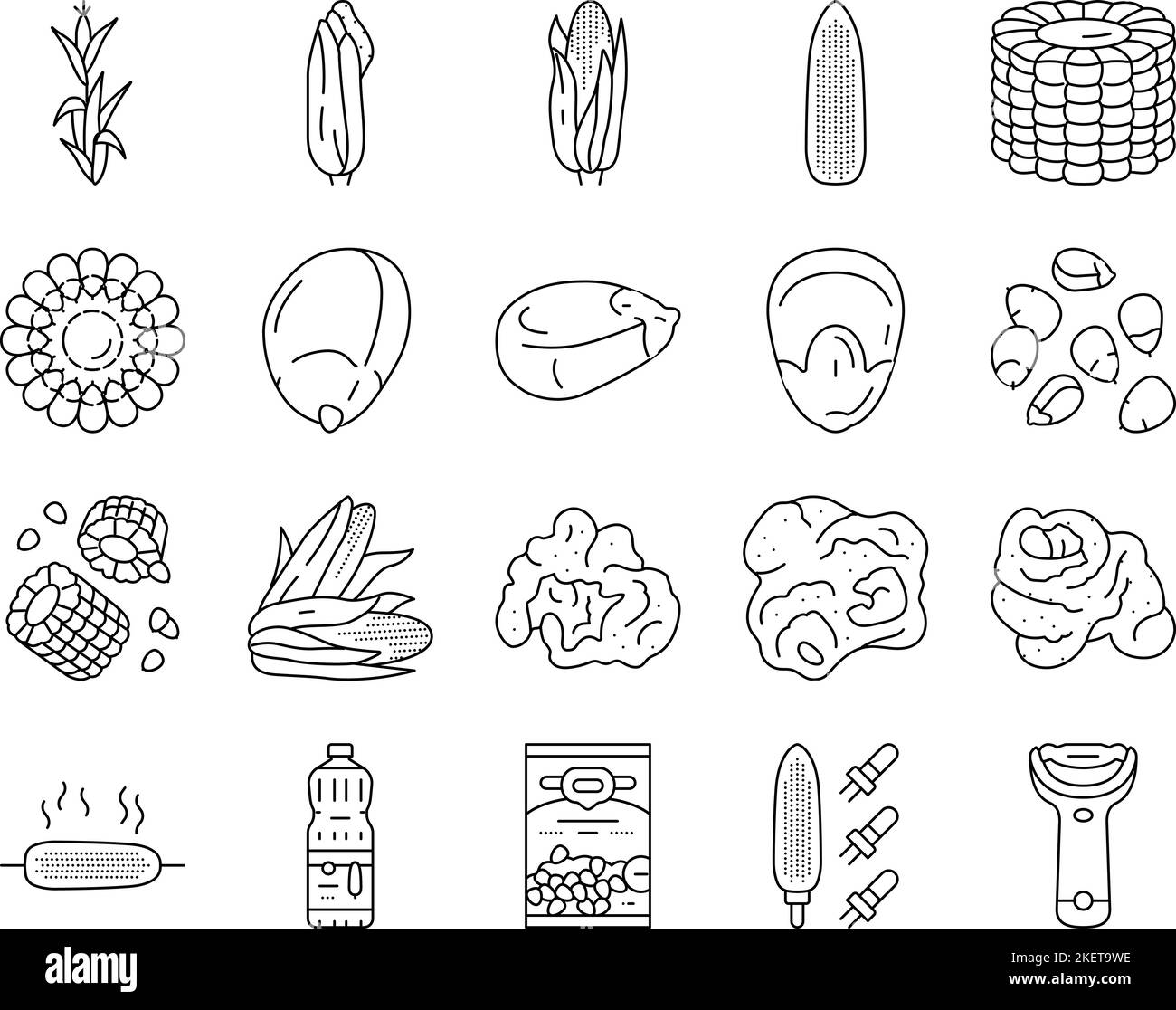 corn maize green, cob sweet icons set vector Stock Vector Image & Art ...
