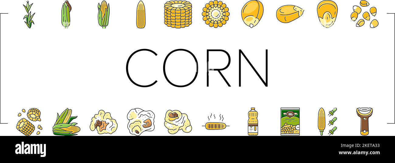 corn maize green, cob sweet icons set vector Stock Vector Image & Art ...