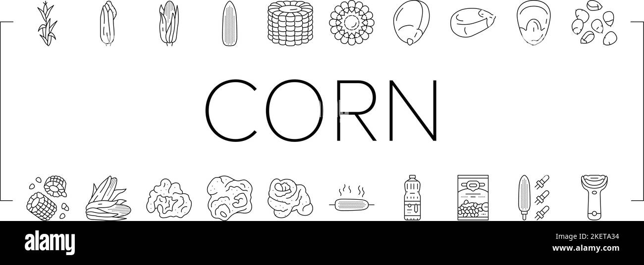 corn maize green, cob sweet icons set vector Stock Vector Image & Art ...