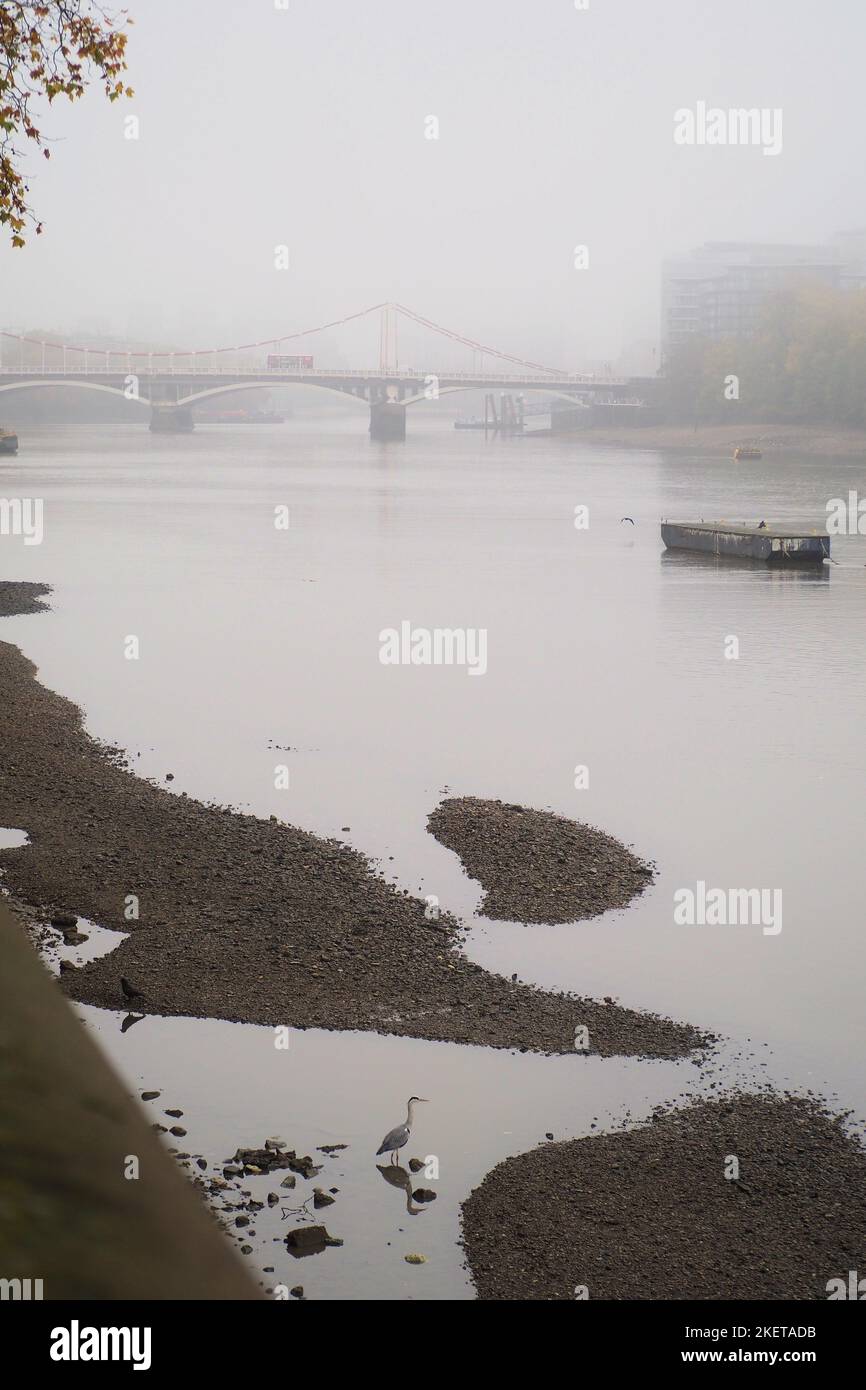 London, UK. 14th Nov, 2022. Fog descends on London in the River Thames area at Chelsea. Credit: Brian Minkoff/Alamy Live News Stock Photo