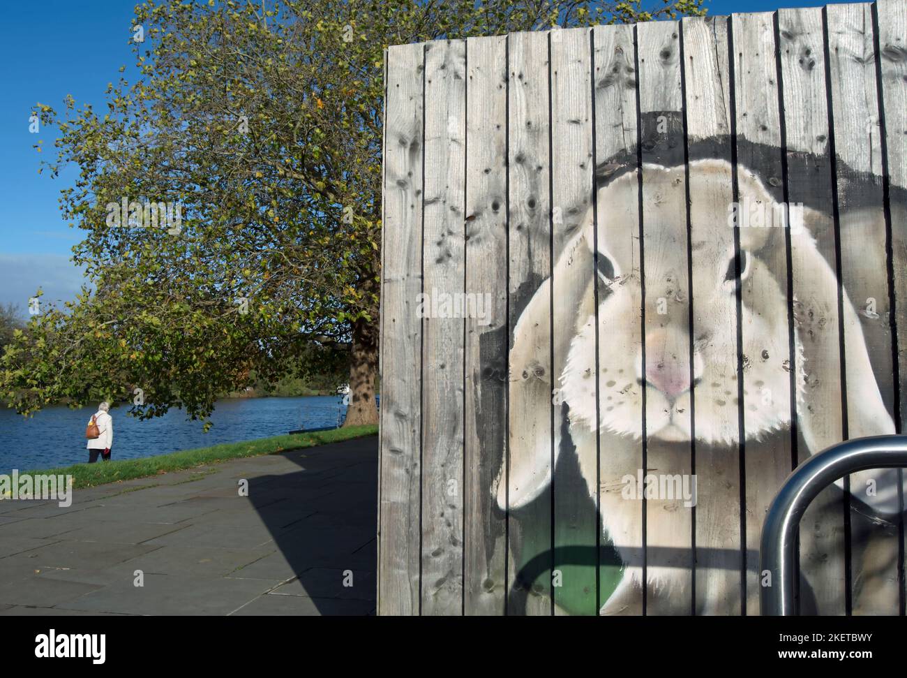 a large image of a rabbit on the side of a cafe dominates the riverside parth in kingston upon thames, surrey, england Stock Photo