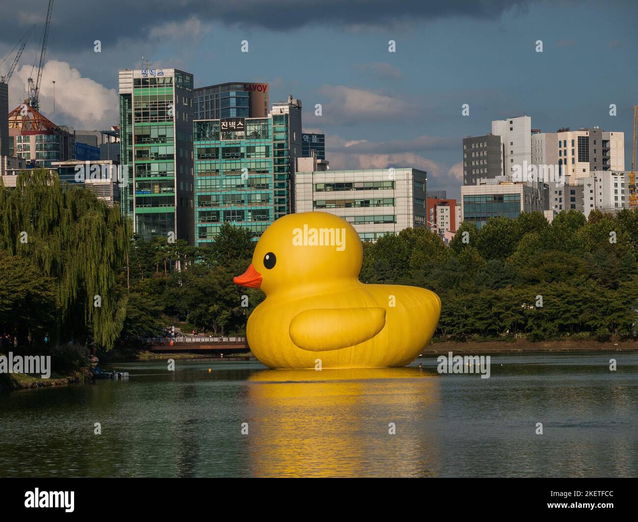 Seoul, South Korea - Oct.07.2022: The rubber duck project in Seoul DIGITAL CAMERA Stock Photo