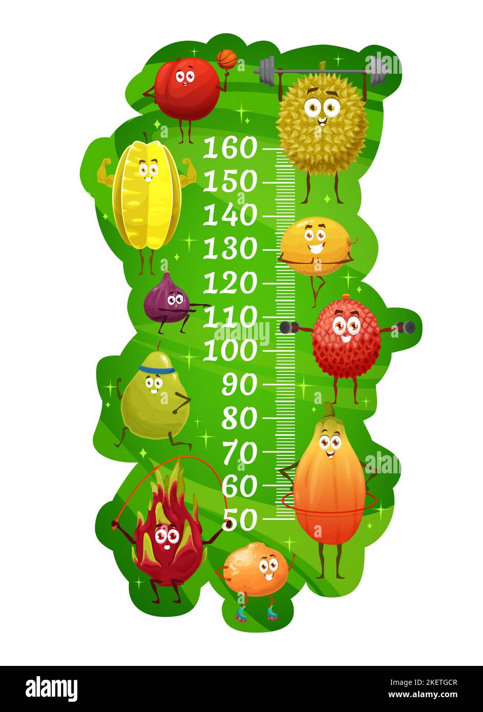 Kids height chart, exotic fruits on fitness. Growth measuring meter