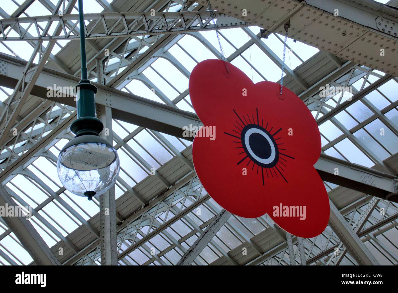 giant red poppies suspended from the roof of central railway station for armistice and remembrance Sunday Stock Photo