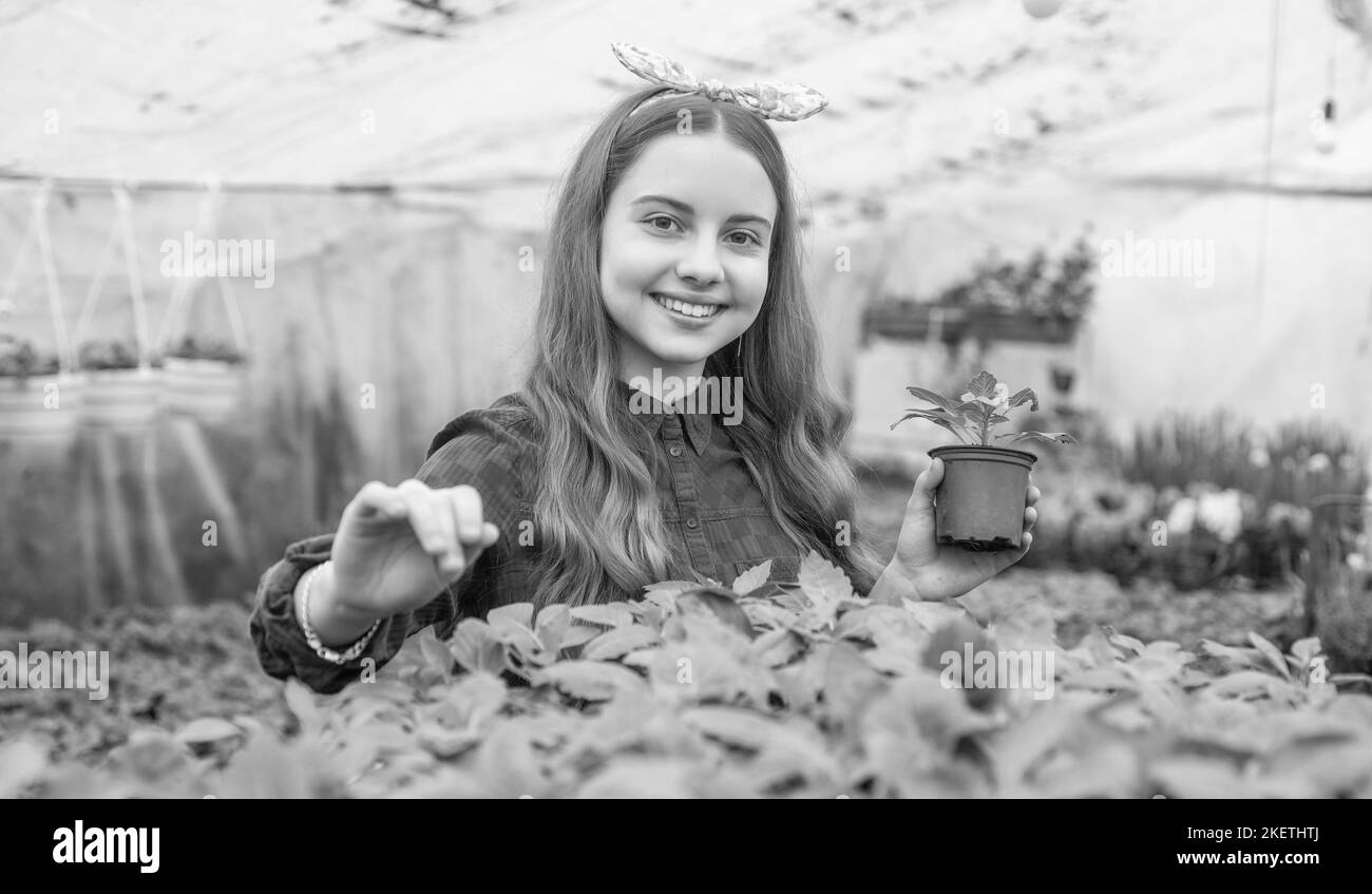 go green. horticulture. gardening activity for kid. happy teen girl florist in greenhouse. Stock Photo