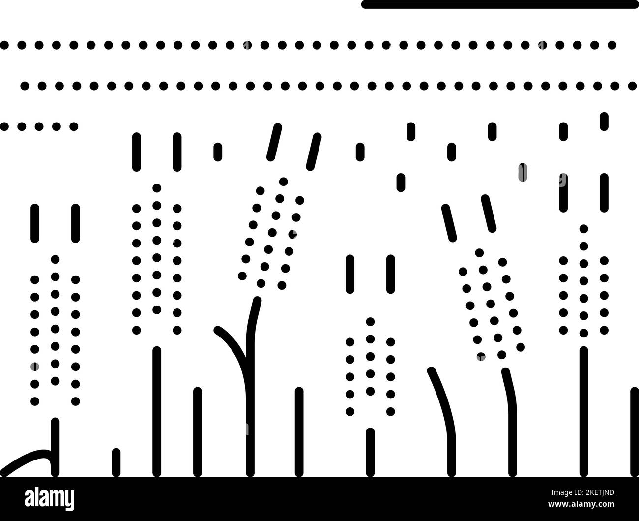 field barley green line icon vector illustration Stock Vector Image ...