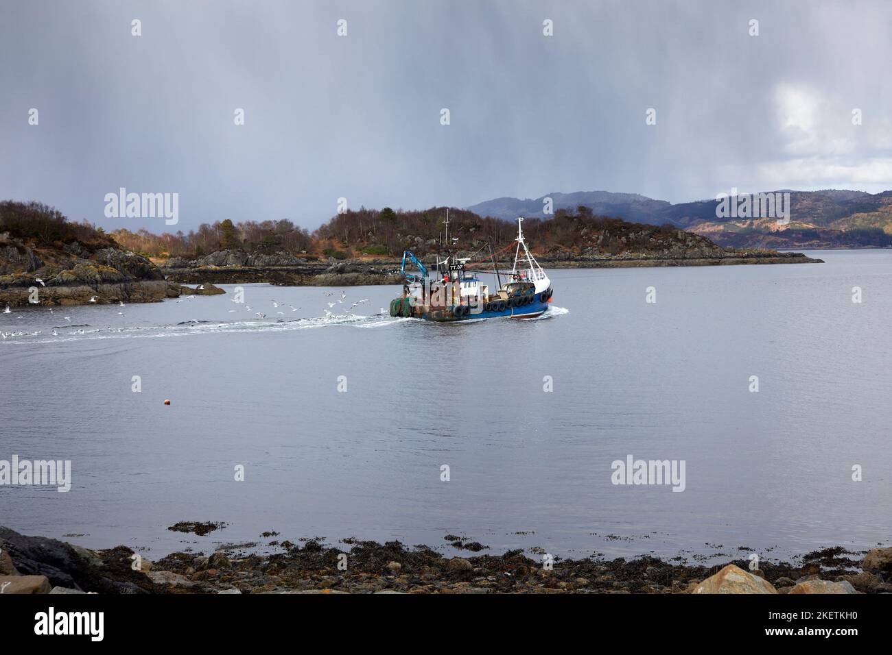 As rain begins to fall, seagulls follow the TT 37 trawler as she leaves East Loch Tarbert to sail to Loch Fyne, Tarbert, Argyll and Bute. Scotland Stock Photo