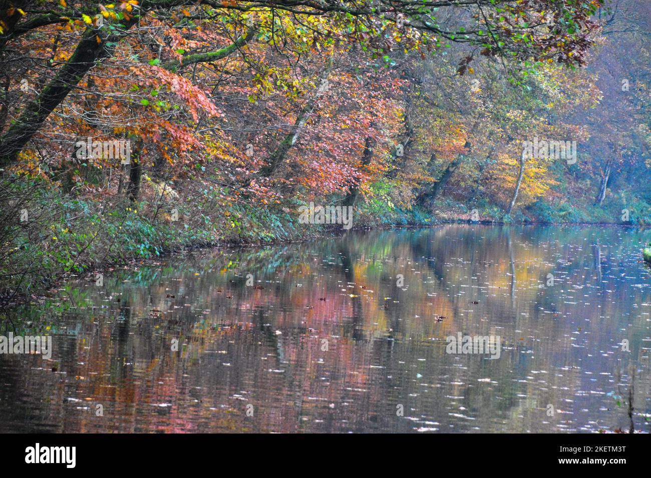Autumn Reflections, Rochdale Canal, Hebden Bridge Stock Photo