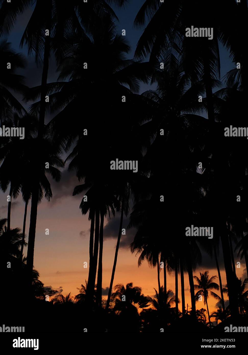 Tropical island untouched dusk hi-res stock photography and images - Alamy