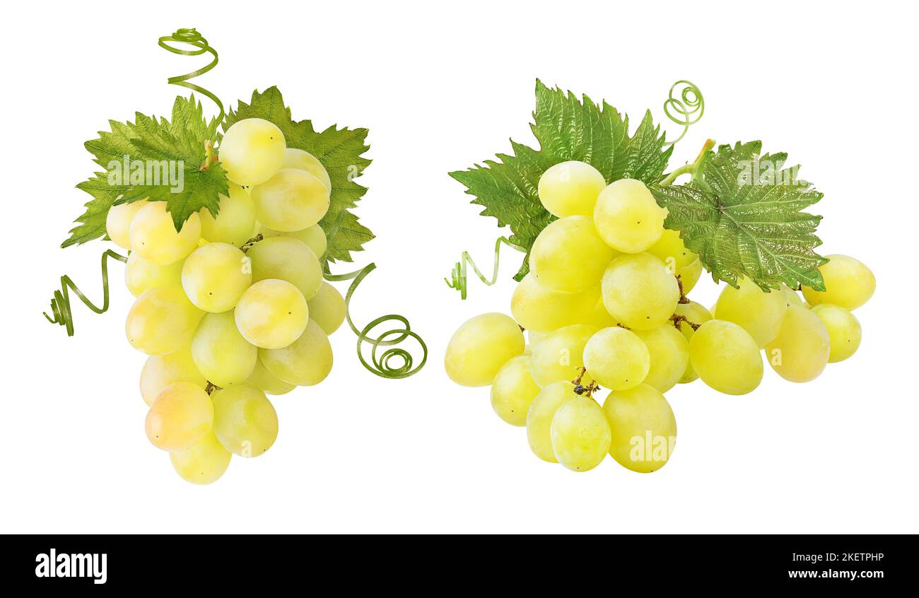 Fresh grapes isolated on white background Stock Photo