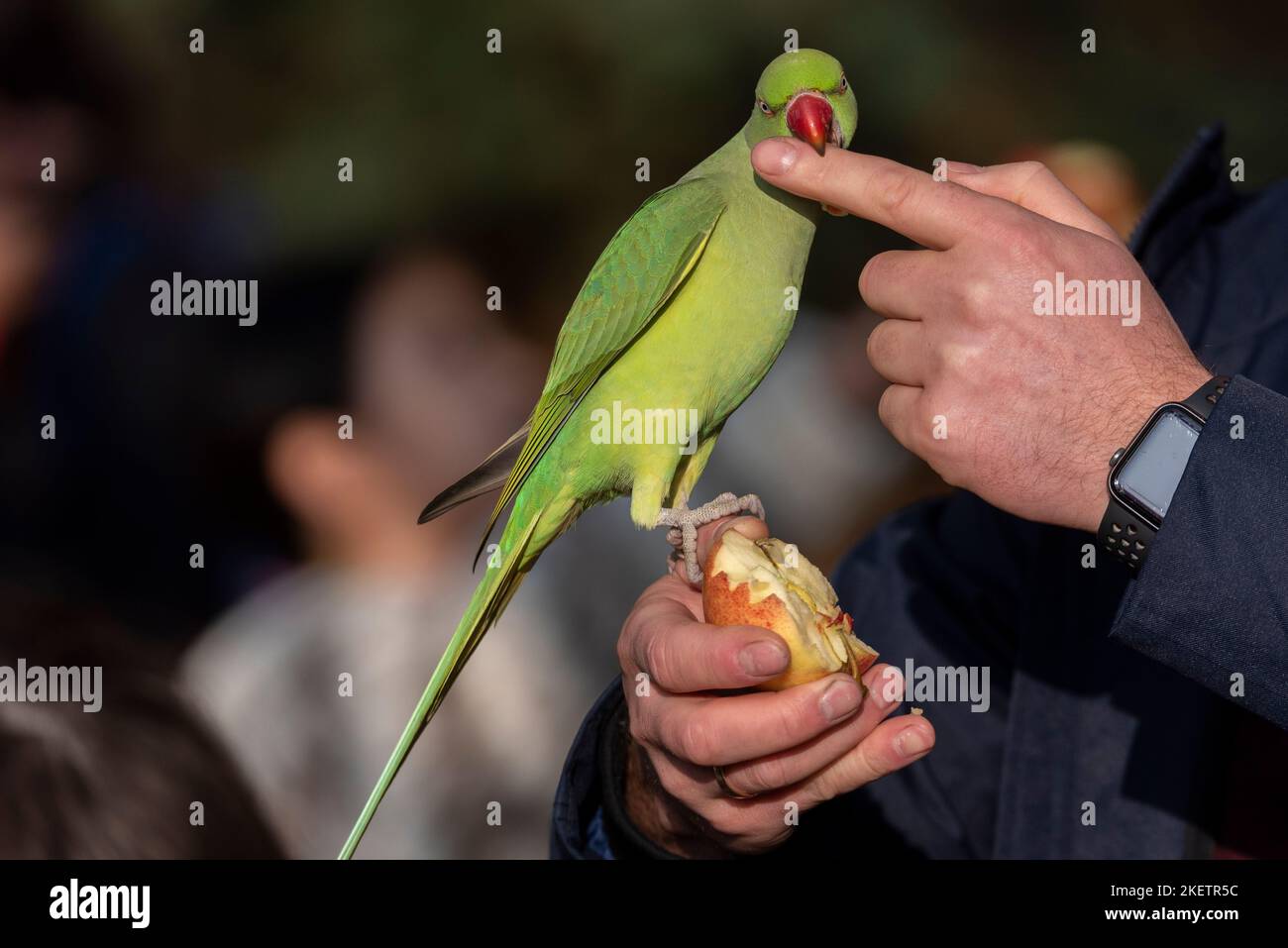 City of Westminster, London, UK. 14th Nov, 2022. A foggy morning broke