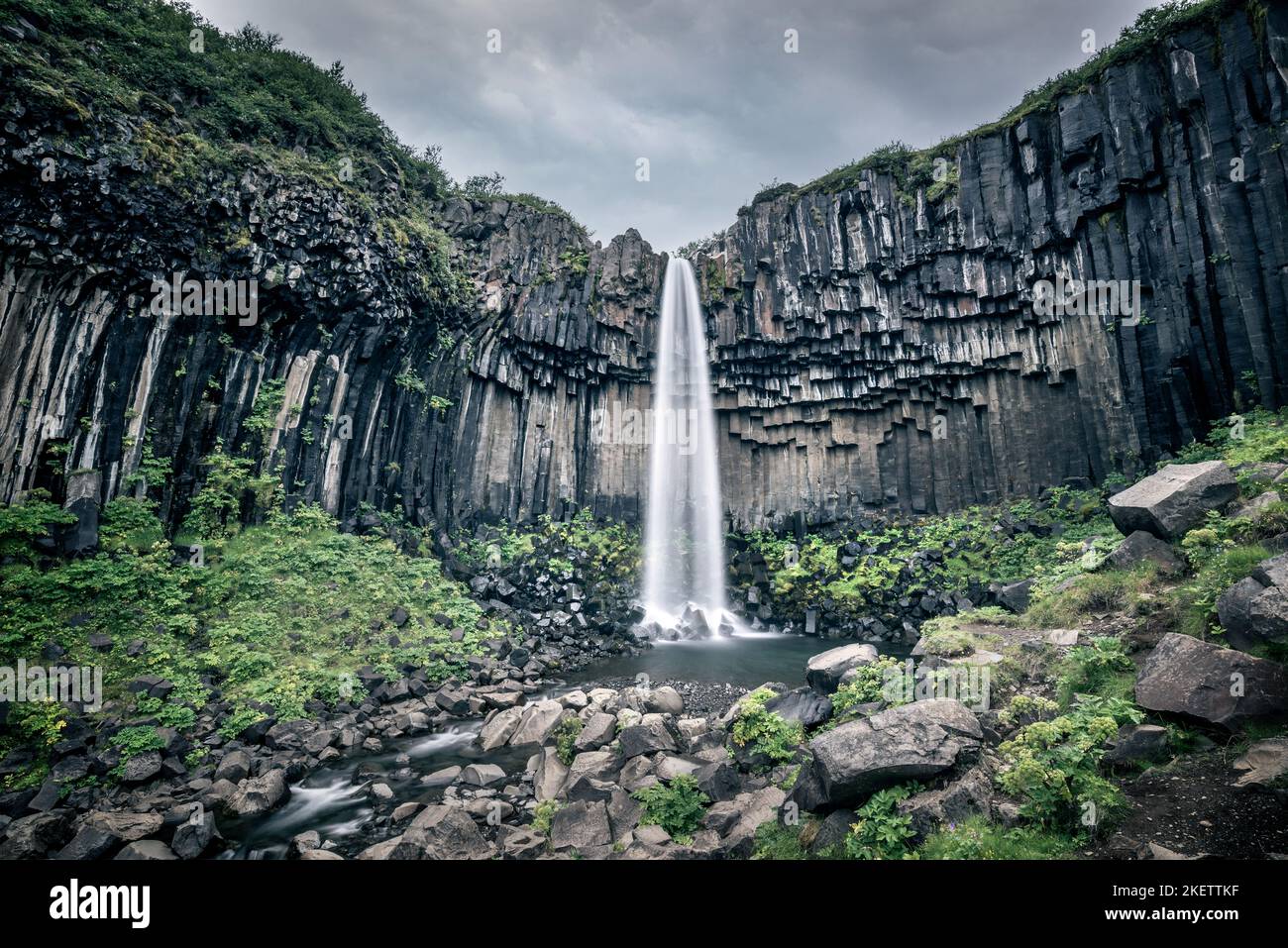 scenic-svartifoss-waterfall-in-summer-iceland-stock-photo-alamy