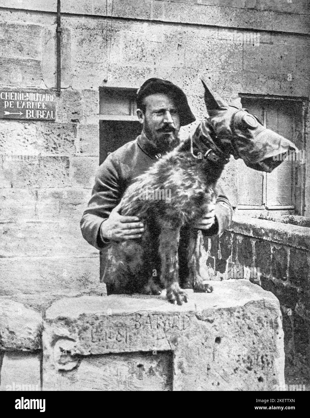 WW1 1418 Dog with gas mask Stock Photo Alamy
