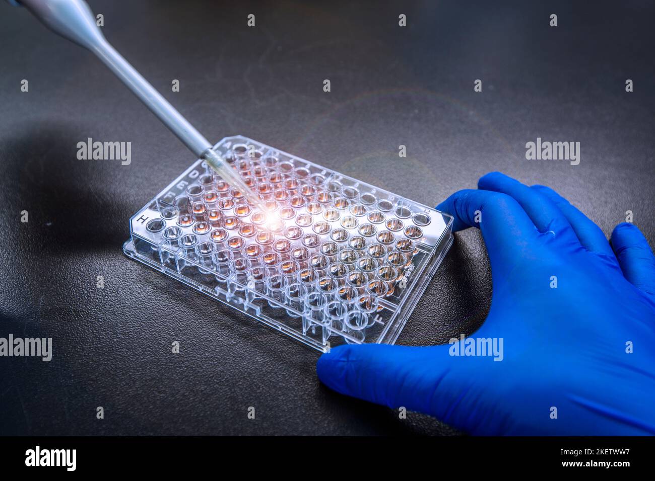 Protein concentration assay is one of the method used in Western blot
