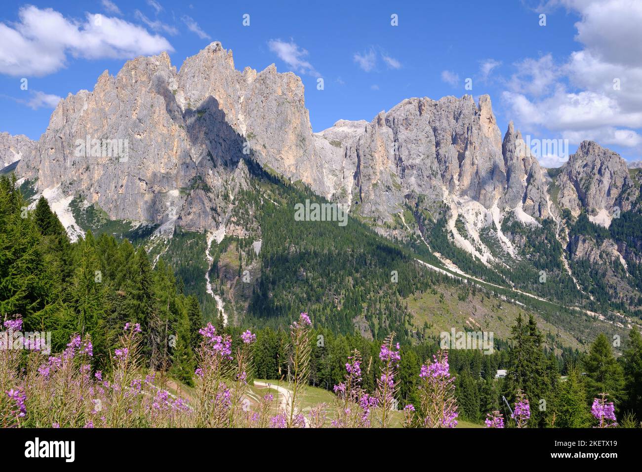 Panoramas of the Alpe Ciampedie, Vigo di Fassa, Val di Fassa, Trento, Trentino Alto Adige, Italy Stock Photo