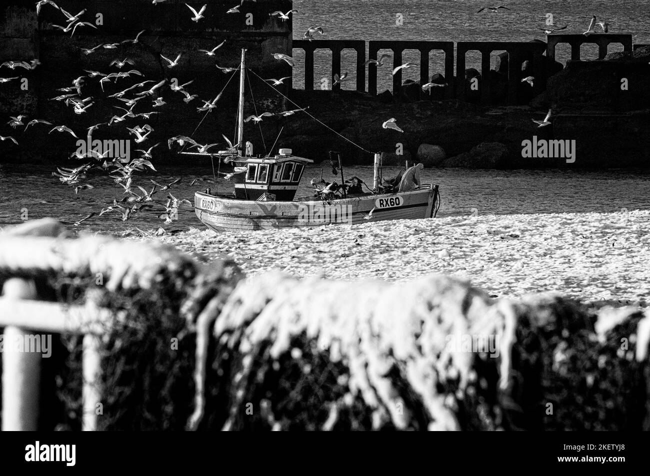 The Stade fishing beach, Old Town, Hastings. Fishermen bringing home their catch on a snow covered beach with a flock of herring gulls around them. East Sussex. England. UK Stock Photo