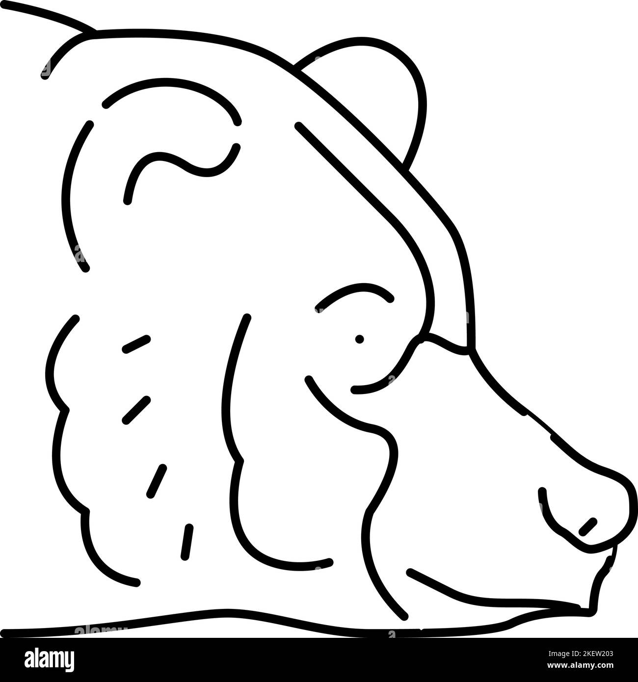 bear animal zoo line icon vector illustration Stock Vector Image & Art