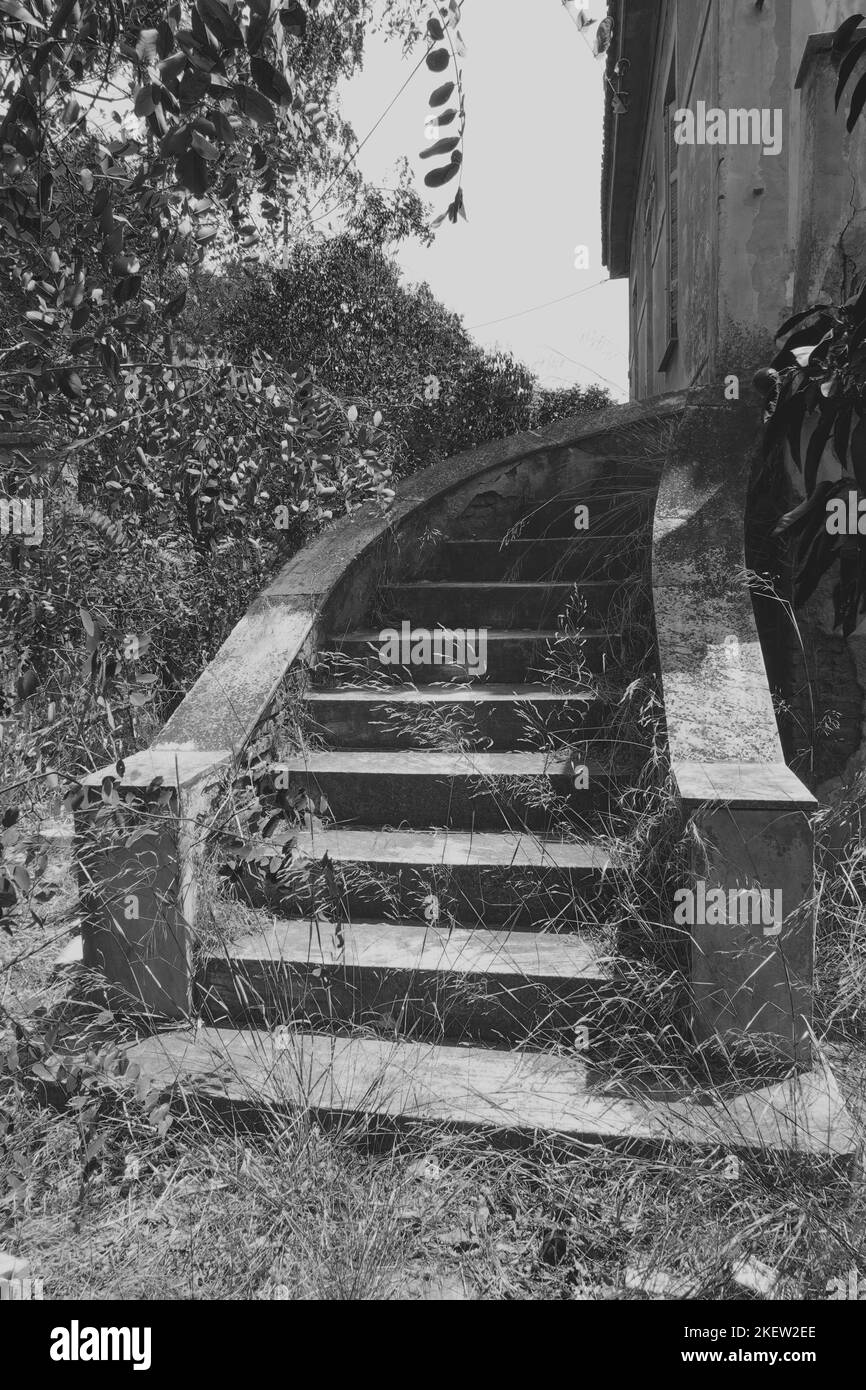 Abandoned mansion outdoor curved staircase with grassed steps. Black and white. Stock Photo