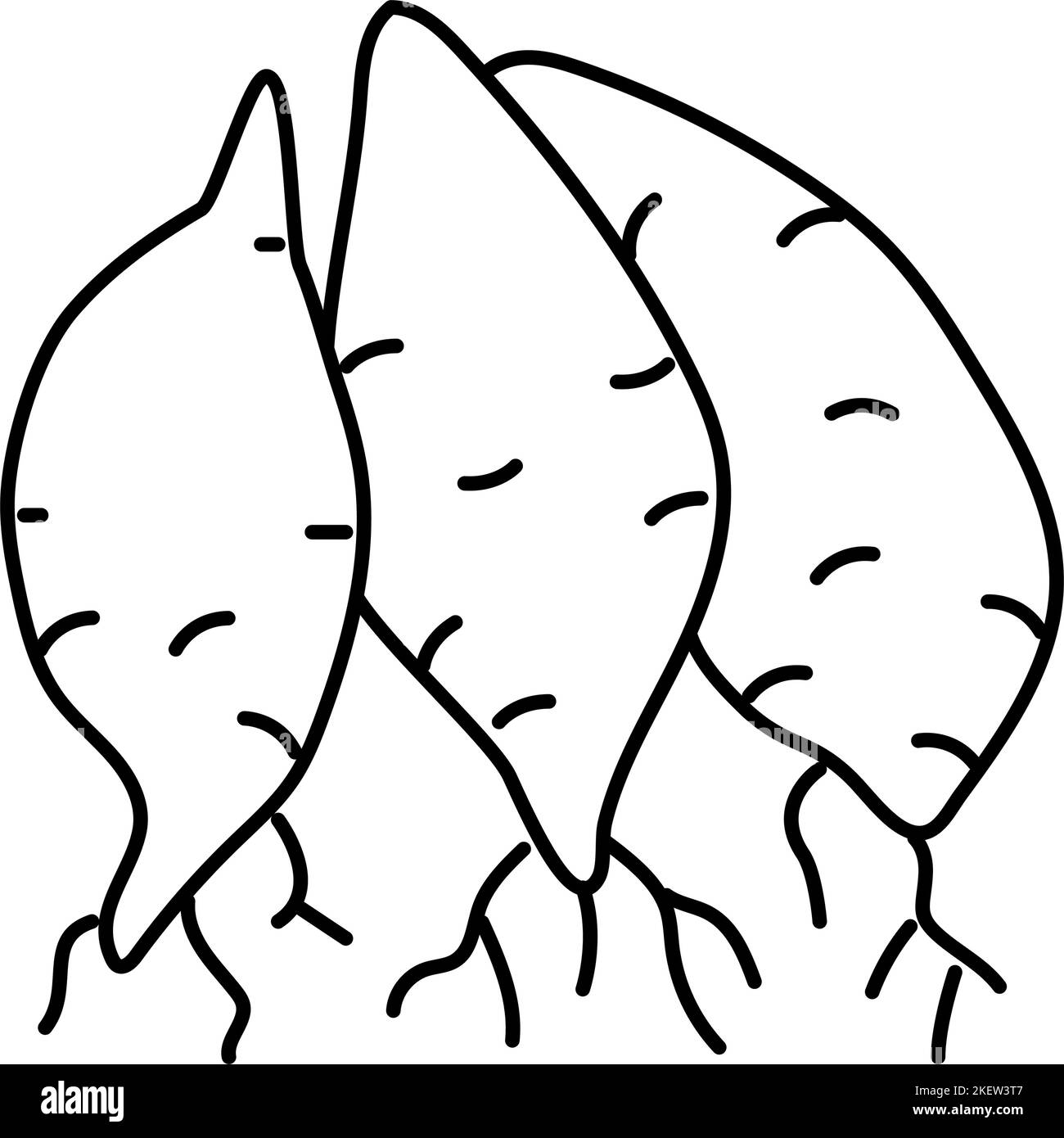 Purple sweet potatoes Black and White Stock Photos & Images - Alamy 