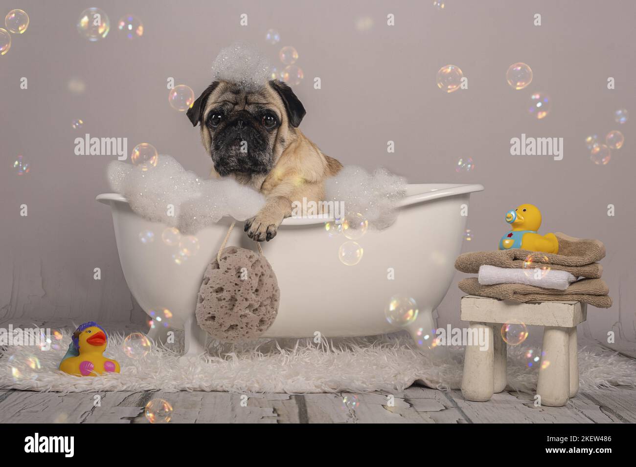 Hilarious bubble hi-res stock photography and images - Alamy