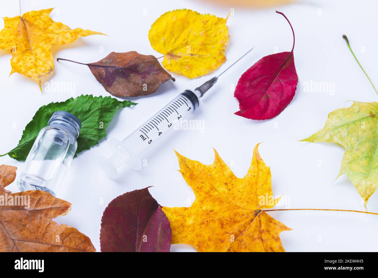 Autumn vaccination of population. Syringe in autumn leaves. Vaccination in autumn. New vaccine.. Stock Photo