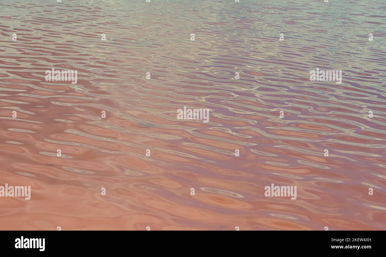 Pink Saline Water Stock Photo Alamy