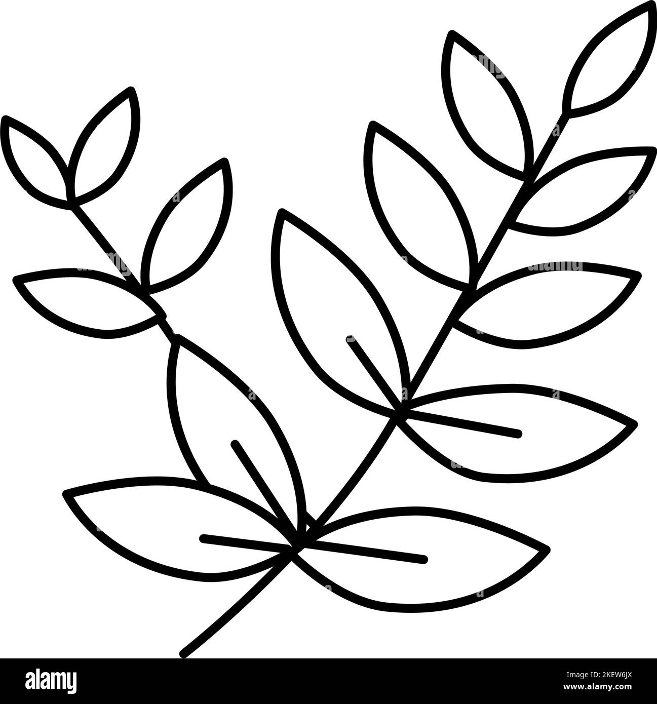 leaf spring line icon vector illustration Stock Vector Image & Art - Alamy
