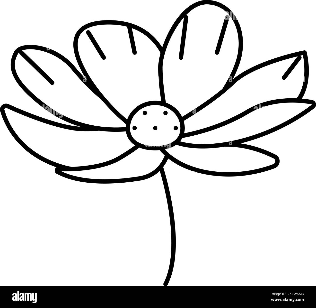 Cosmos flower field Black and White Stock Photos & Images - Alamy