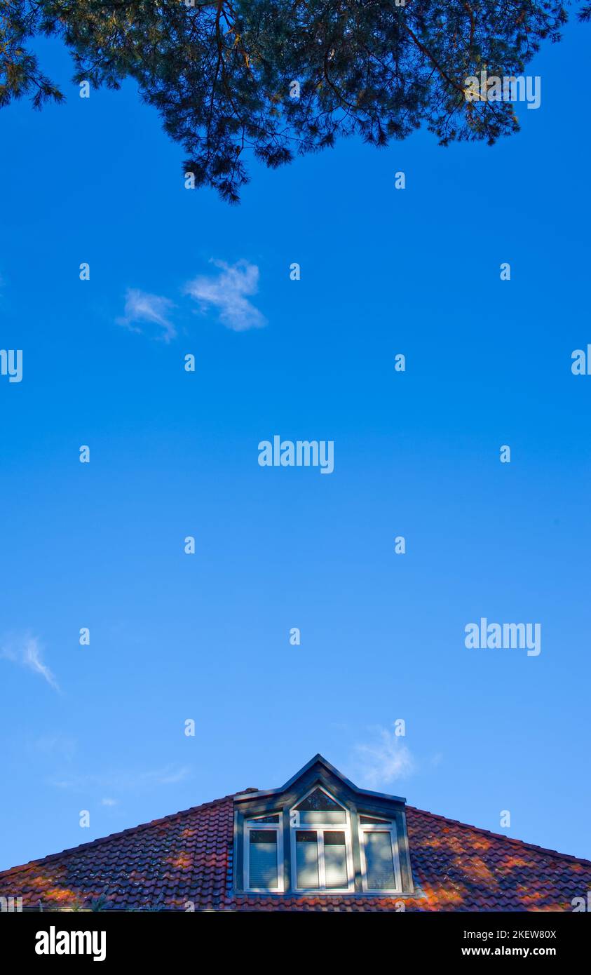 view in a clear blue sky with the top of a roof at the bottom an the top of a tree at the top of the picture (upright format) Stock Photo