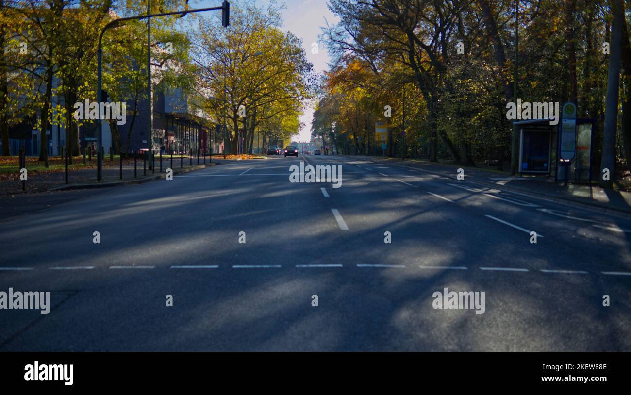 view from the middle of the street on a broad multilane avenue with some approaching cars and autumnal trees on both sides as well as some buildings Stock Photo