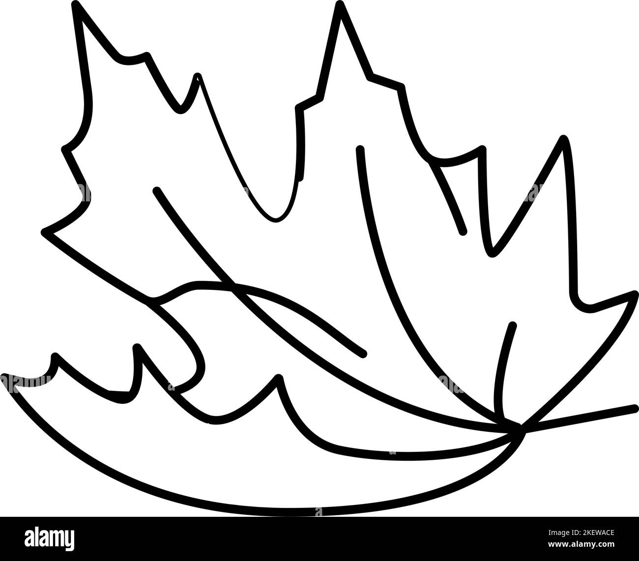 Asian maple leaf Black and White Stock Photos & Images - Alamy
