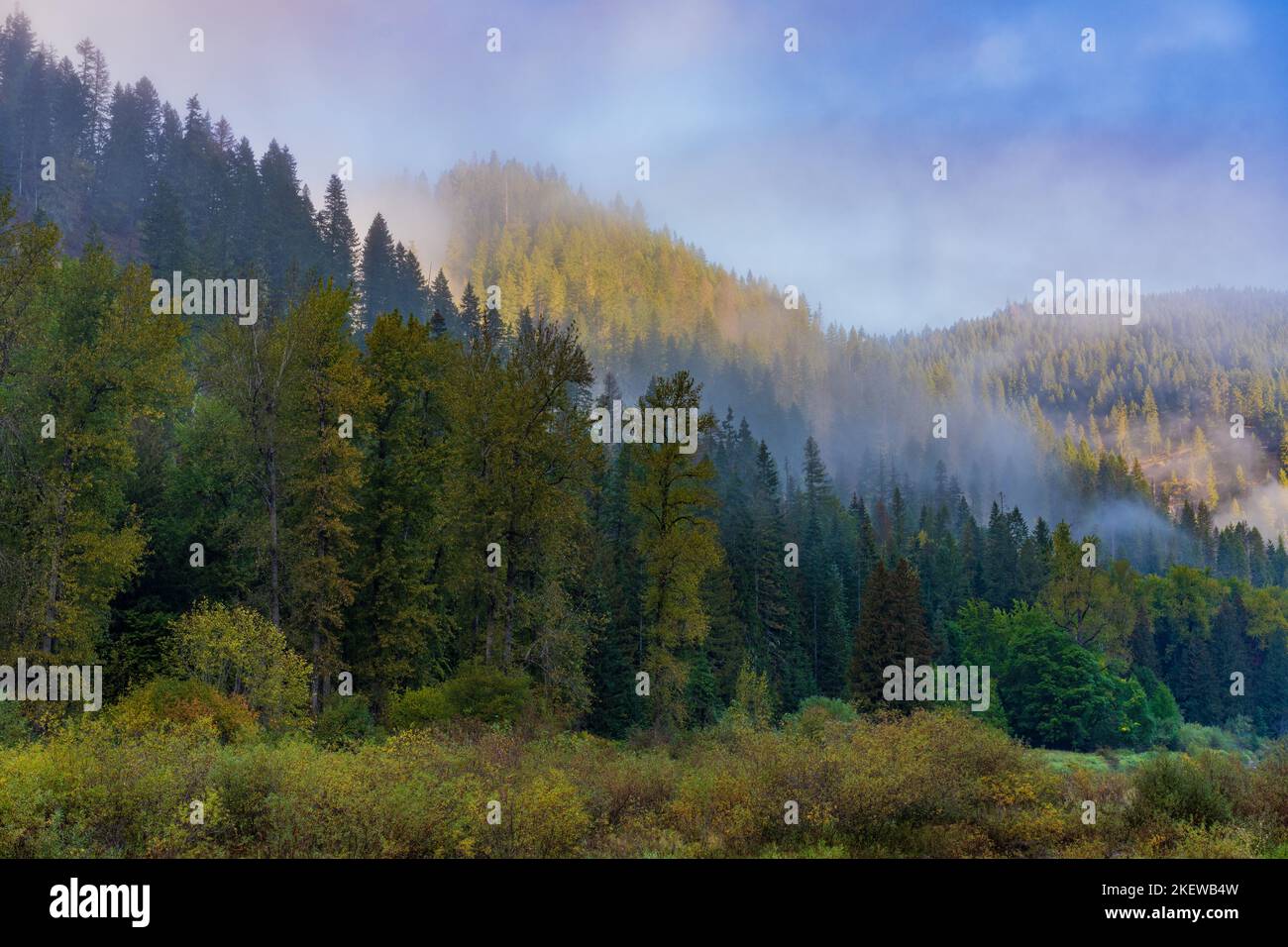 Cold morning brings ground fog across North Idaho that makes the landscape even prettier. Stock Photo