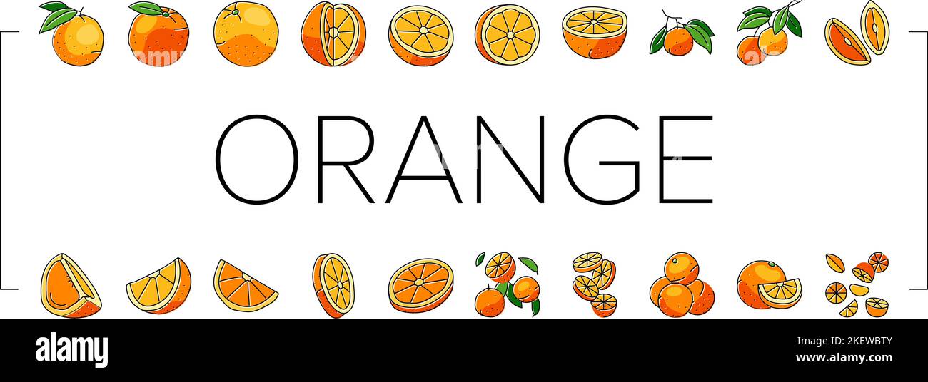 orange citrus fresh slice juice icons set vector Stock Vector Image ...