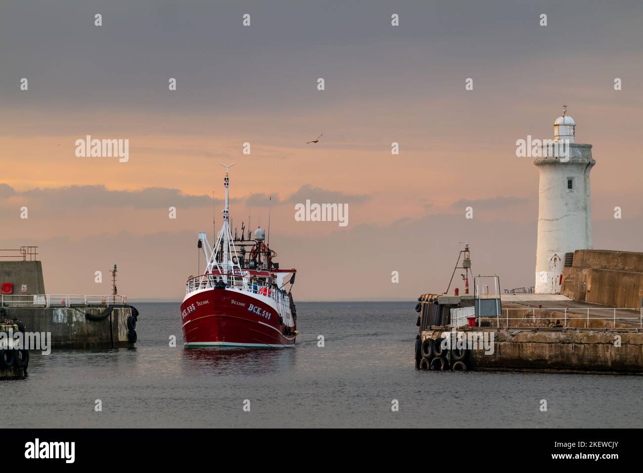 Buckie, Moray, UK. 14th Nov, 2022. This is the Buckie Fishing Boat, Deeside arriving back at Buckie Harbour with its catch of Fish. Credit: JASPERIMAGE/Alamy Live News Stock Photo