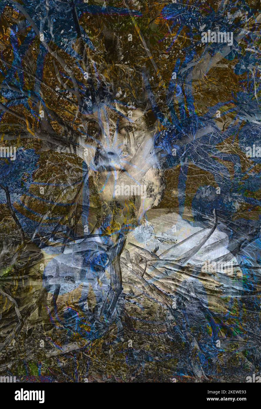 Creative digital montage of two images. Old photograph of an unknown young woman called Olive aged 16 and an old tree with roots Stock Photo