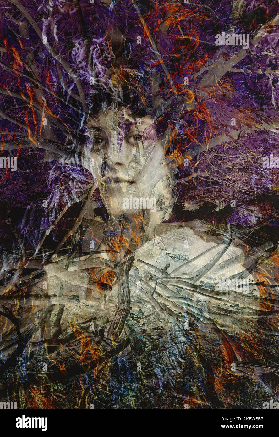 Creative digital montage of two images. Old photograph of an unknown young woman called Olive aged 16 and an old tree with roots Stock Photo