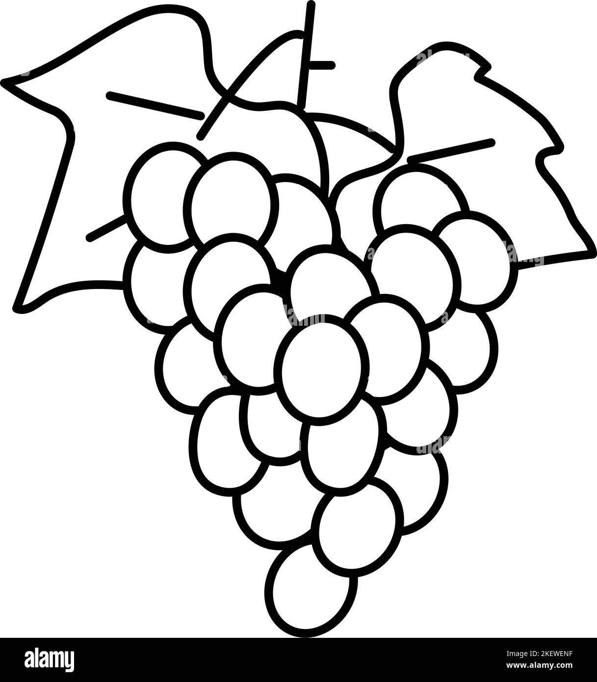 green grapes bunch line icon vector illustration Stock Vector Image ...