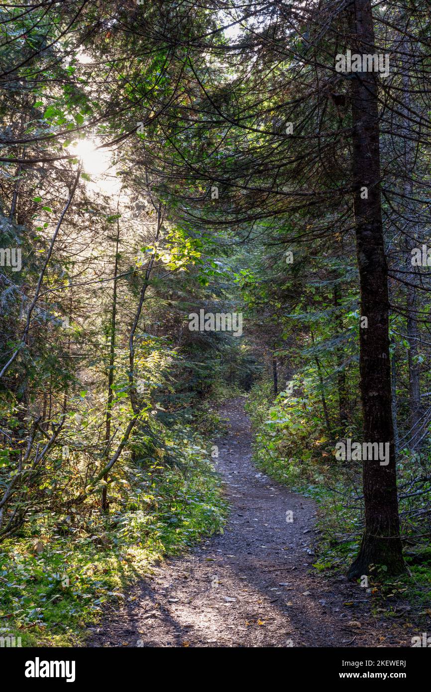 The Pulaski Tunnel Trail near Wallace, Idaho leads the hiker to an