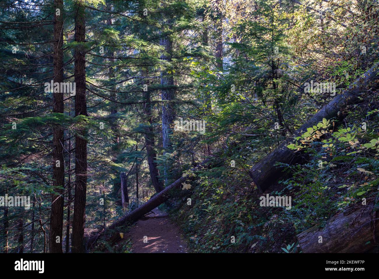 The Pulaski Tunnel Trail near Wallace, Idaho leads the hiker to an