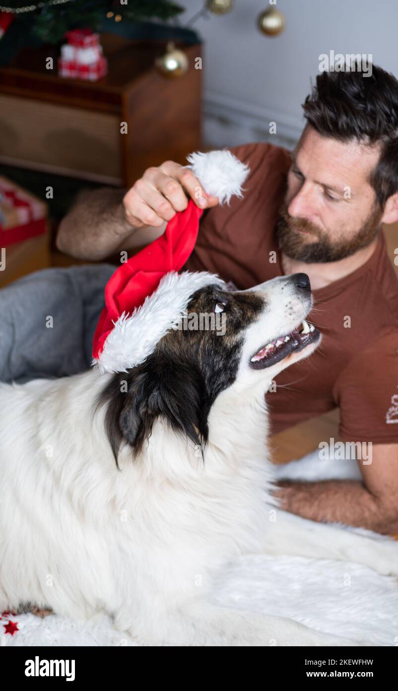 https://c8.alamy.com/comp/2KEWFHW/man-with-white-dog-at-home-at-christmas-2KEWFHW.jpg