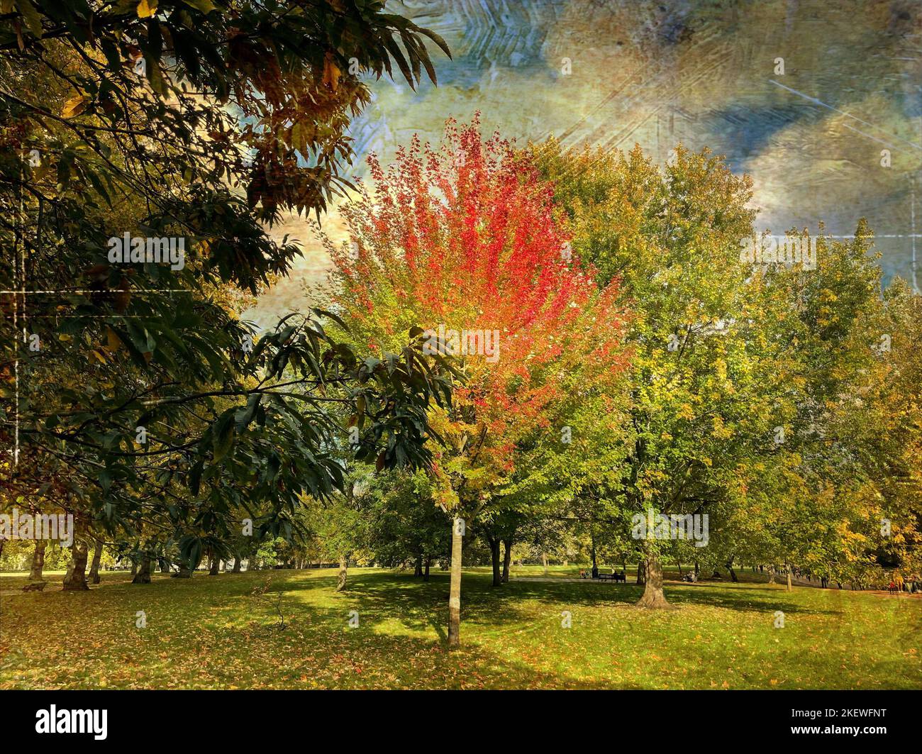 Autumnal London. Green Park. Creative digital artwork with distressed filter. Stock Photo