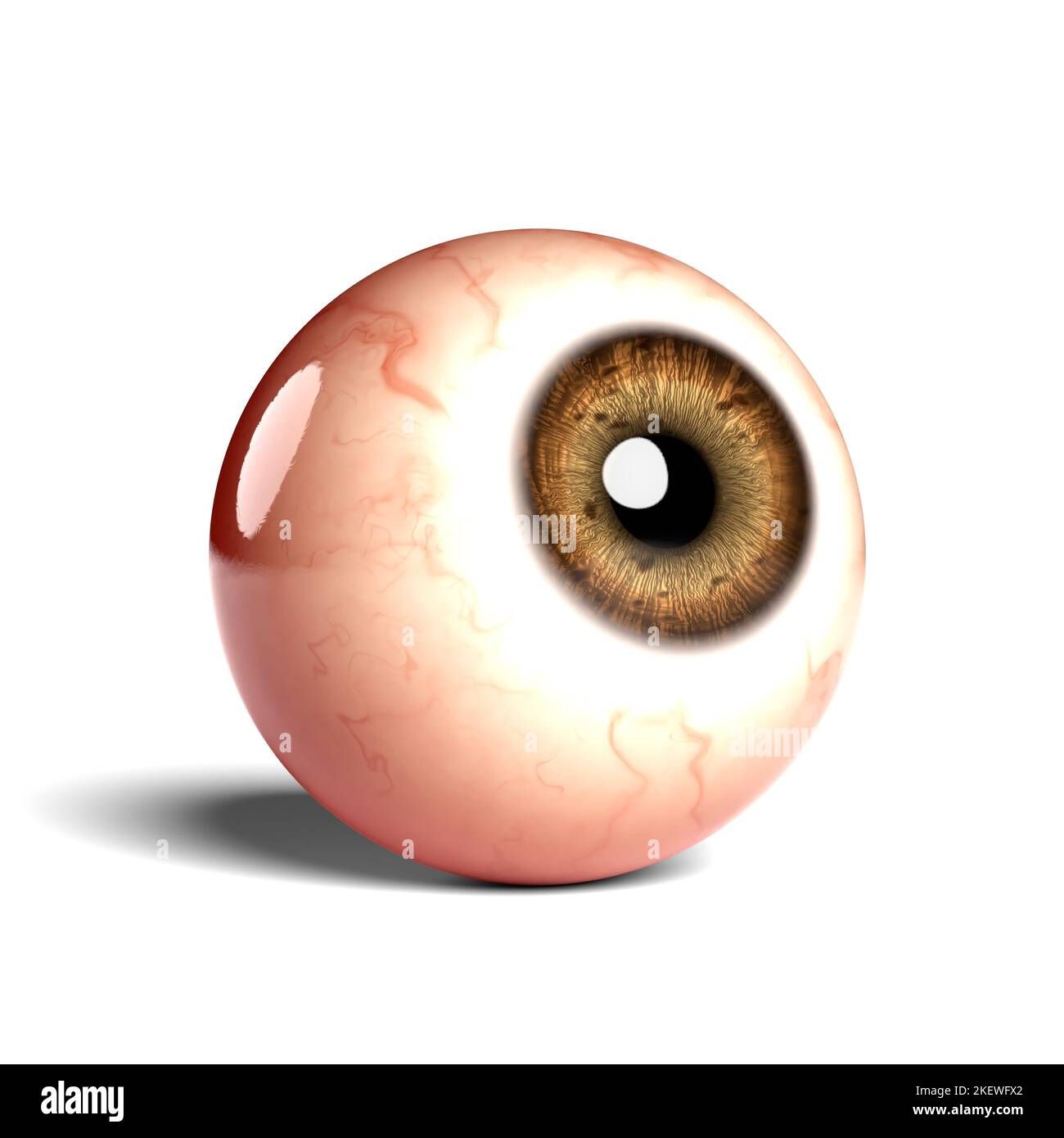 Side view of realistic human eyeball isolated on wihte background 3D Side view of realistic human eyeball isolated on wihte background 3D
