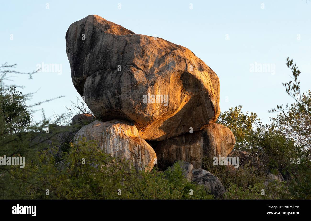Granite is a resilient igneous rock that forms outcrops known as Koppies. They were formed when plumes of magma formed deep in the earth's crust Stock Photo
