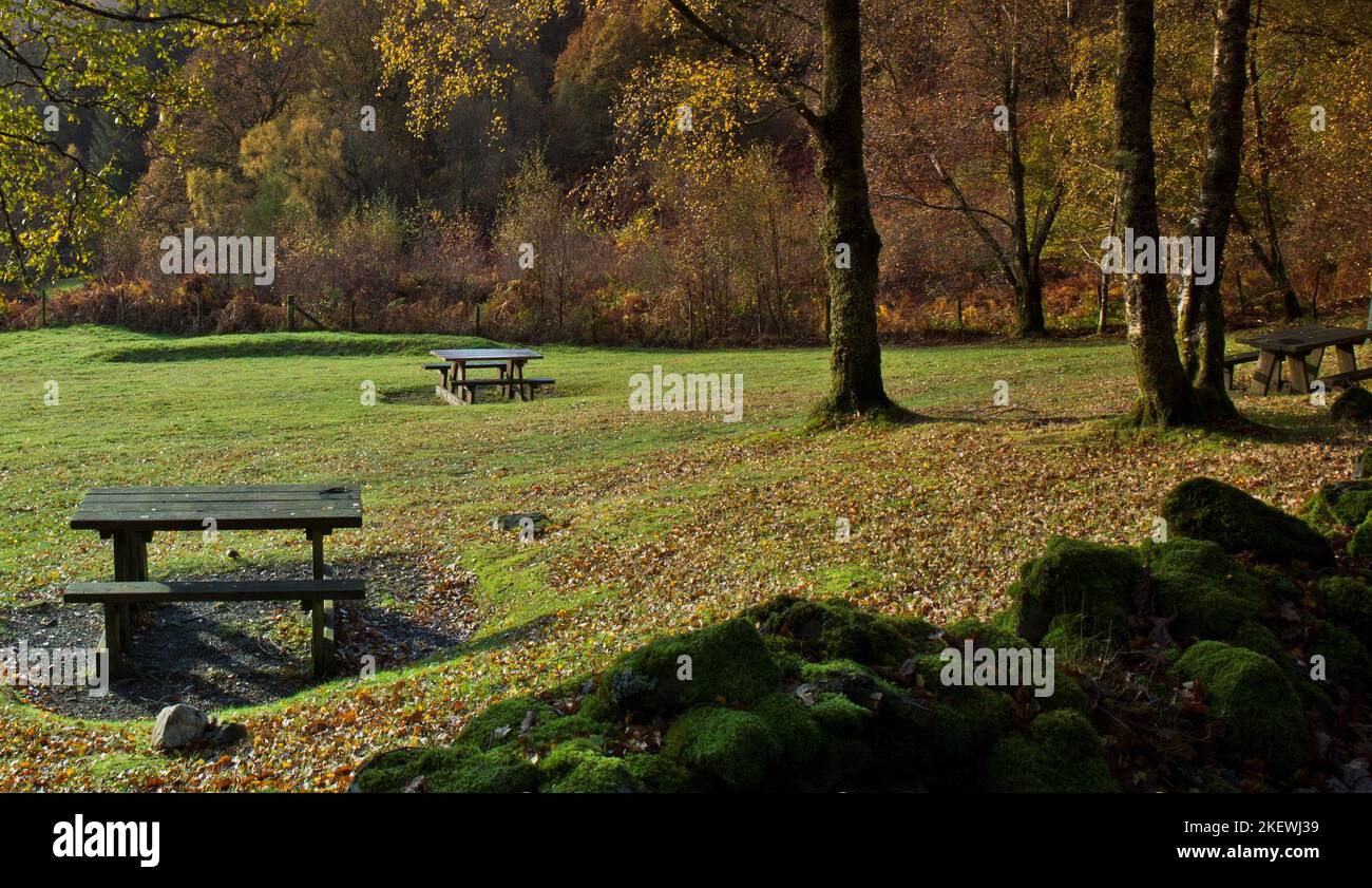 Picnic area at Tyn Llwyn in autumn Gwydyr Forest Park Betwys Y Coed