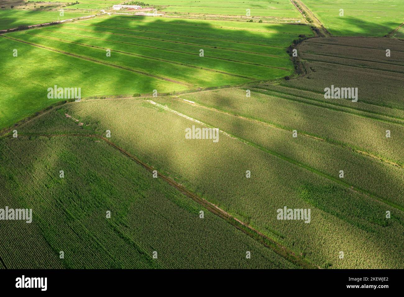Green agricultural field with clouds shadows and spots of light aerial angle view. Aerial scenic landscape Stock Photo